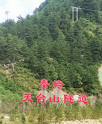 秦嶺天臺(tái)山隧道項(xiàng)目如何提高功率因數(shù)